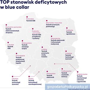 Kogo brakuje na rynku pracy? Podkarpackie na tle kraju
