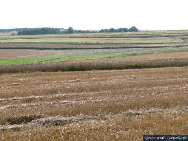test Samorządowcy chcą zmiany ustawy o planowaniu i zagospodarowaniu przestrzennym