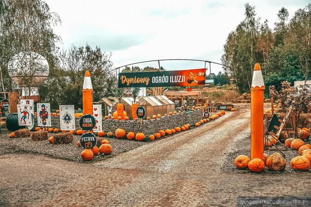 test Dyniowy Ogród Iluzji w Radawie