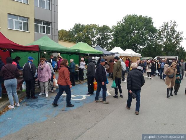 Kończy się Jesienna Giełda Ogrodnicza w Boguchwale (w tym wystawa koni i wystawa królików)