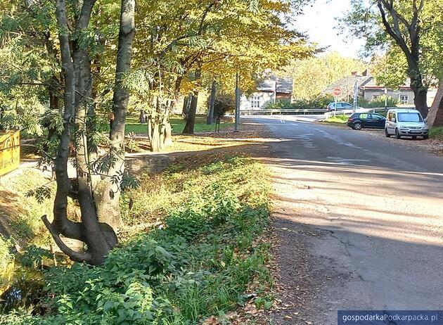 test Fot. RZGW Wody Polskie