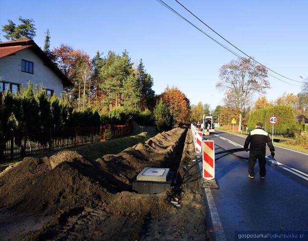 test Fot. bojanow.pl