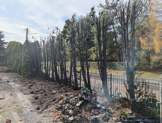 Fot. policja Fot. policja