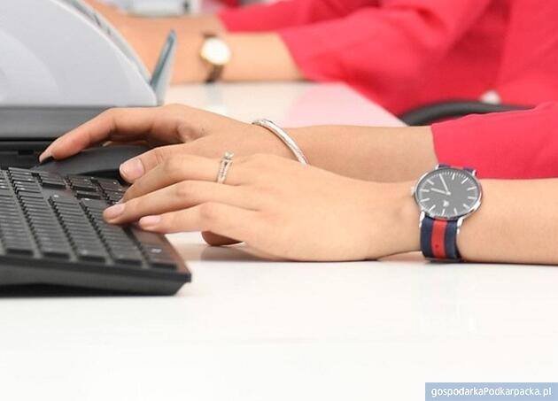 test Fot. Pixabay/CC0