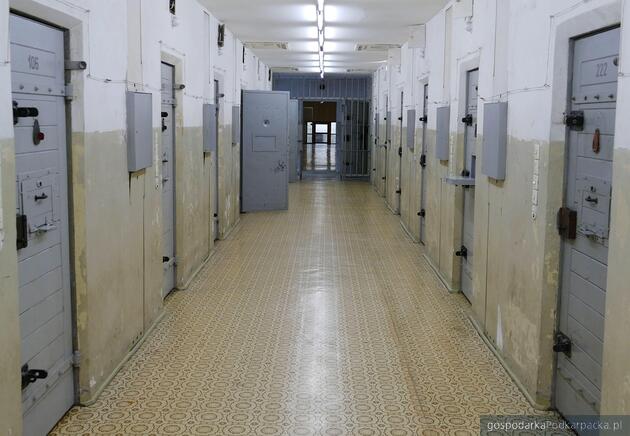 test Fot. Pixabay/CC0