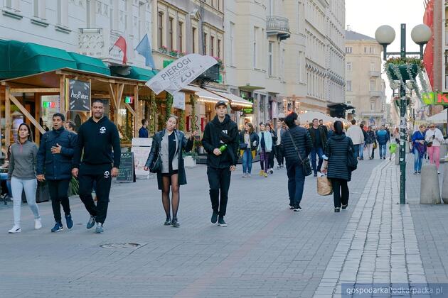 test Fot. ilustracyjne (pixabay/CC0)