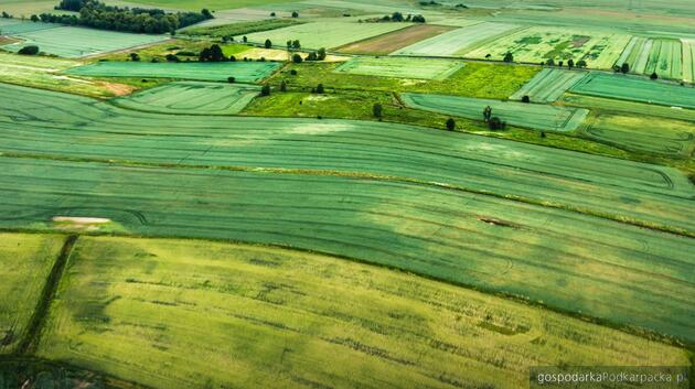 test Zdjęcie ilustracyjne. Fot. KOWR