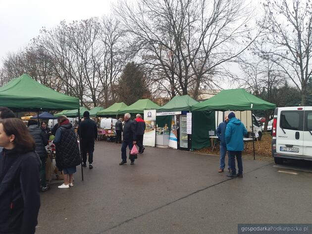 Gęsina i młode wino na Podkarpackim Bazarku