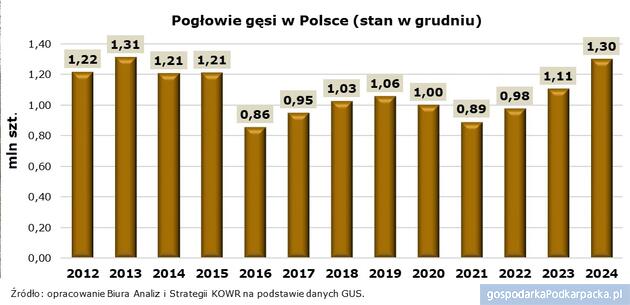 Polska znaczącym producentem gęsi w Unii Europejskiej