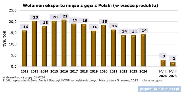 Polska znaczącym producentem gęsi w Unii Europejskiej