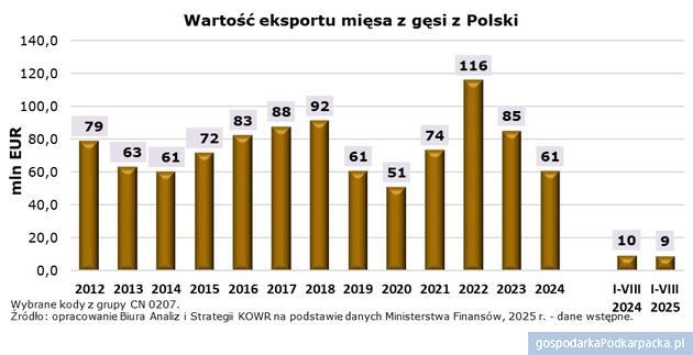 Polska znaczącym producentem gęsi w Unii Europejskiej