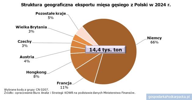 Polska znaczącym producentem gęsi w Unii Europejskiej
