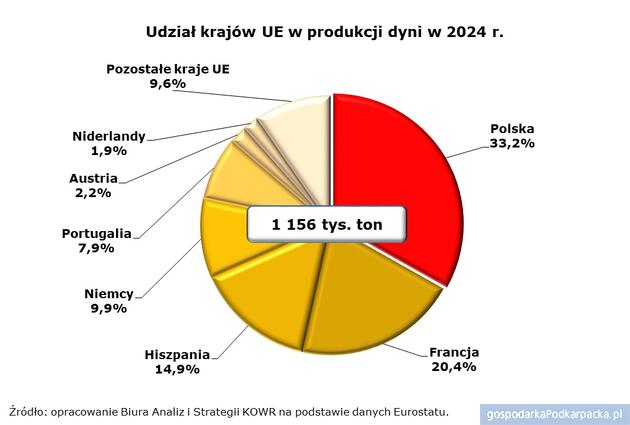 Polska największym producentem dyni w Unii Europejskiej