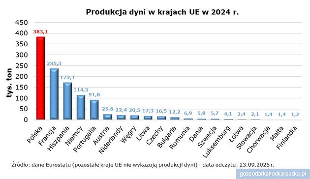 Polska największym producentem dyni w Unii Europejskiej