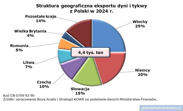 Polska największym producentem dyni w Unii Europejskiej