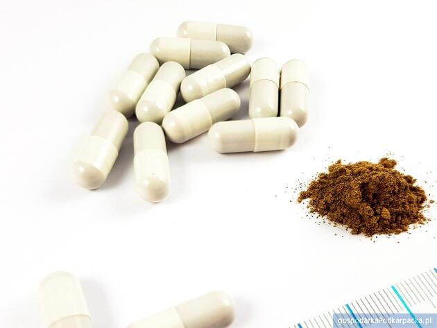 test Zdjęcie ilustracyjne. Fot. Pixabay/CC0