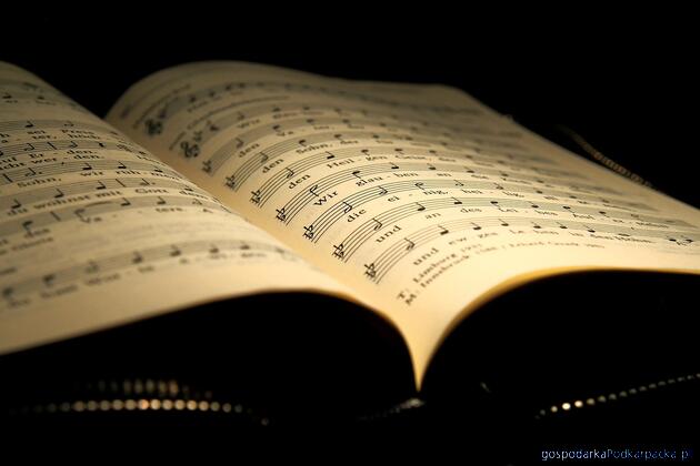 test Fot. ilustracyjne (pixabay/CC0)