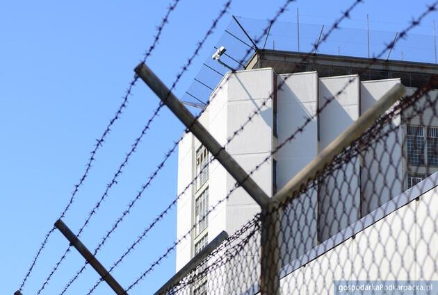 test Fot. Pixabay/CC0