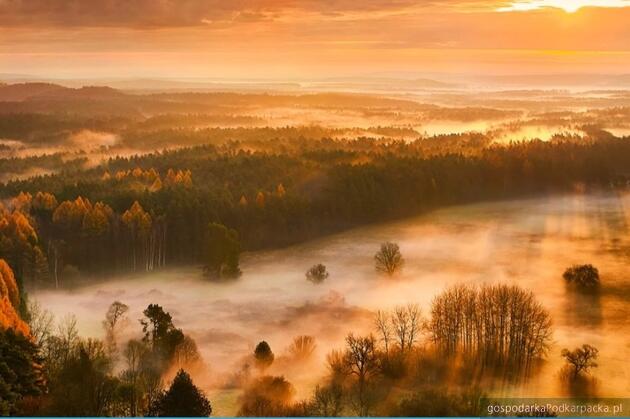 test Fot. Tadeusz Poźniak