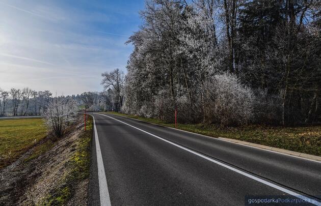 test Fot. ilustracyjne (pixabay/CC0)