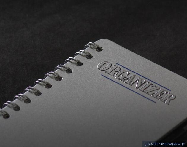 Fot. ilustracyjne (pixabay/CC0)