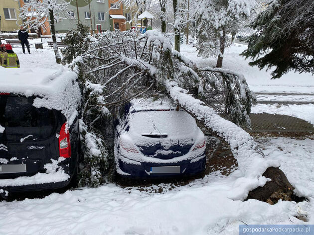 Fot. PSP w Przeworsku