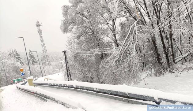 Fot. Straż Pożarna