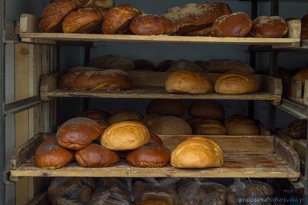 test Fot. ilustracyjne (pixabay/CC0)