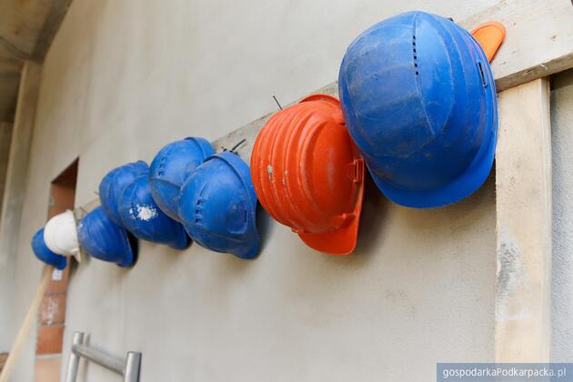 test Fot. ilustracyjne (pixabay/CC0)