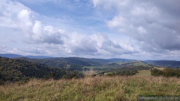 test Fot. podkarpackie.pl