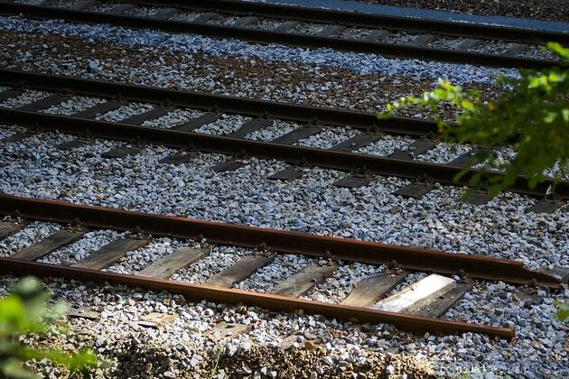 Zdjęcie ilustracyjne. Fot. Pixabay/CC0