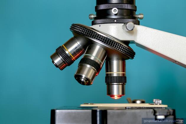 test Fot. Pixabay/CC0