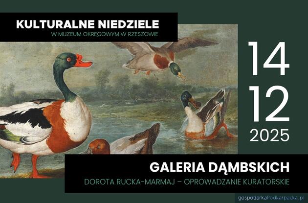 Oprowadzanie kuratorskie po Galerii Dąmbskich w Rzeszowie