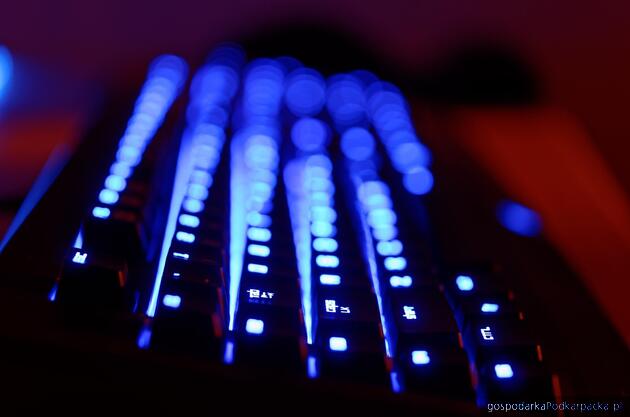 Fot. ilustracyjne (pixabay/CC0)