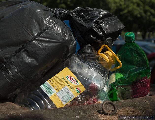 test Fot. ilustracyjne (pixabay/CC0)