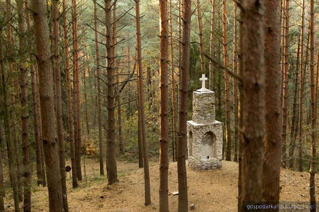 Fot. Paweł Maksymiec, Anna Serkis (GOKSIT w Horyńcu-Zdroju - Fb)