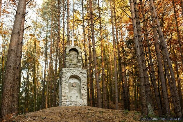 Fot. Paweł Maksymiec, Anna Serkis (GOKSIT w Horyńcu-Zdroju - Fb)