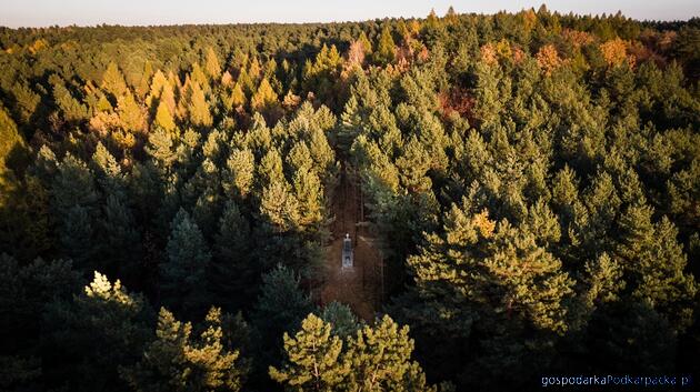 Fot. Paweł Maksymiec, Anna Serkis (GOKSIT w Horyńcu-Zdroju - Fb)