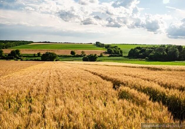 test Fot. ilustracyjne (pixabay/CC0)