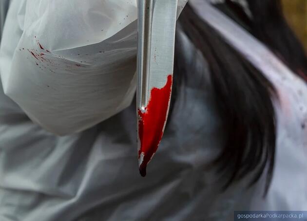 test Fot. ilustracyjne (pixabay/CC0)