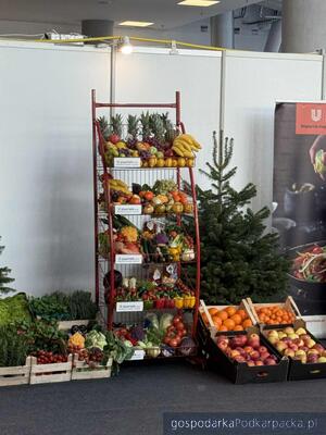 Trwają targi Ekogala 2025