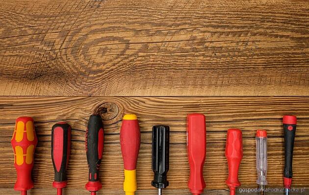 test Fot. pixabay/CC0