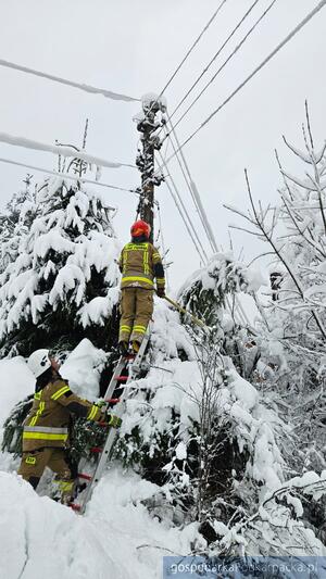 Fot. mł. bryg. K. Adamczyk/Państwowa Straż Pożarna