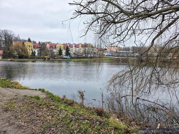 Rozpoczyna się rewitalizacja Stawu Browarnego w Łańcucie