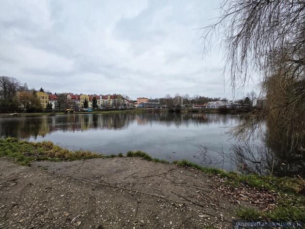 Rozpoczyna się rewitalizacja Stawu Browarnego w Łańcucie