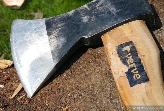 Fot. ilustracyjne. Pixabay/CC0