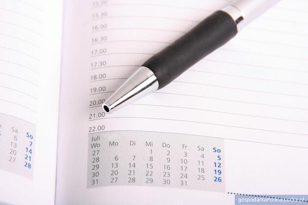 Fot. ilustracyjne (pixabay/CC0)