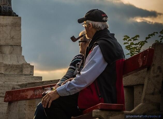 Fot. ilustracyjne (pixabay/CC0)