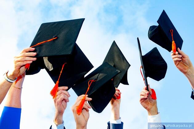 Fot. Pixabay/CC0 (ilustracyjne)