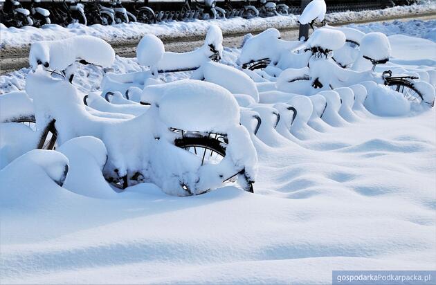 test Fot. ilustracyjne (pixabay/CC0)